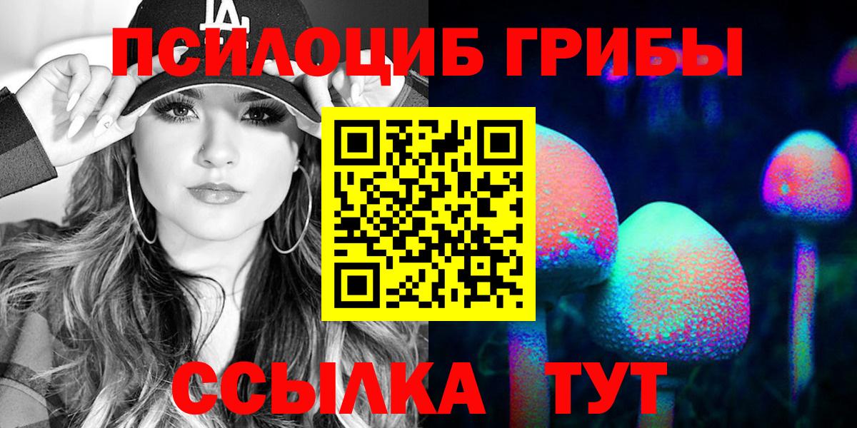 Псилоцибиновые грибы Psilocybe Алапаевск